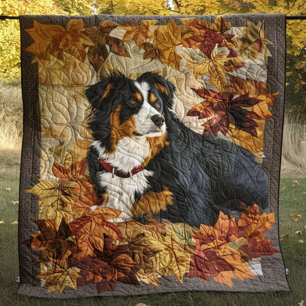 Amber Fetch Peitto